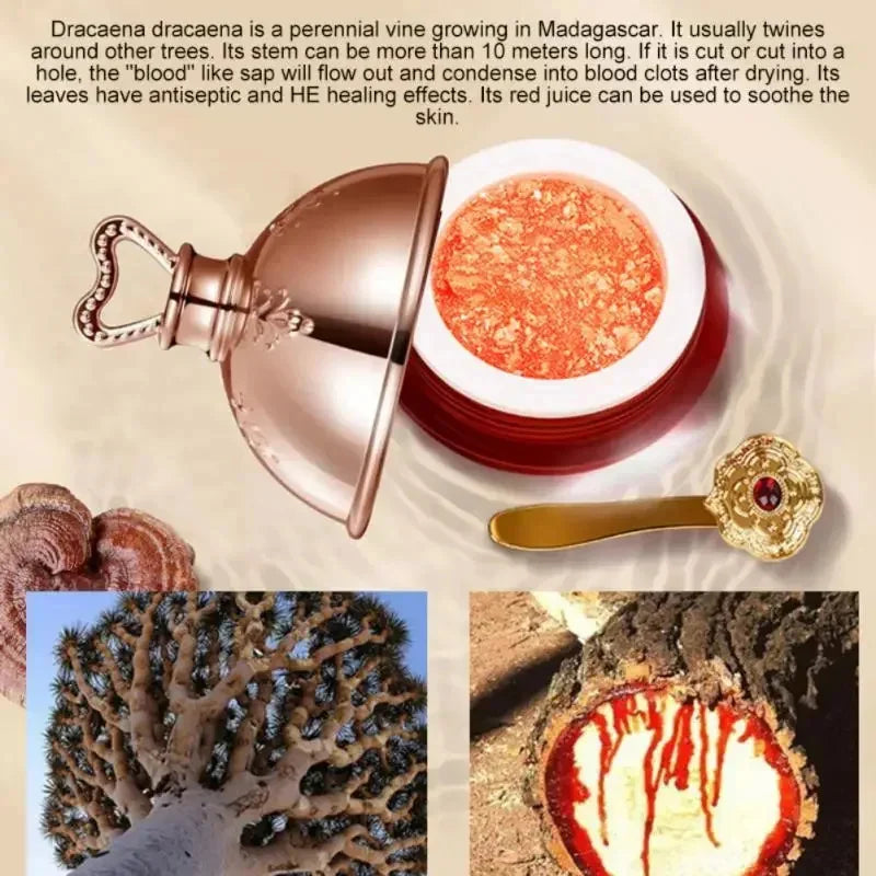 Dragon Blood Cream Wrinkle Removal Facial Serum Rejuvenation Lift Firming Anti-aging Whitening Invisible Pores Beauty Skin Care